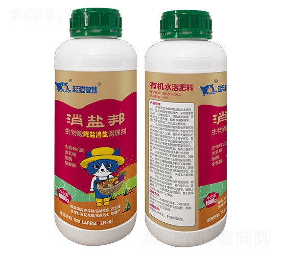 �����ή�}���}�{�턩-���}��-�{؈�ǻ�