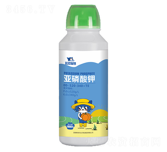 �������00-520-340+TE-�{؈�ǻ�