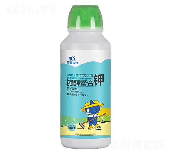 �Ǵ������-�{؈�ǻ�