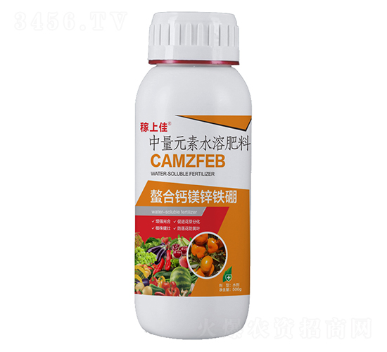 �����}�V�\�F��-���ϼ�-�����r�I