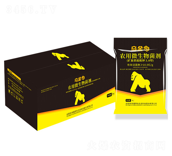 �����r��΢����������䣩-��ɫ���B