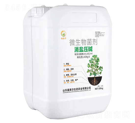 ΢�������-���}���A-���R��