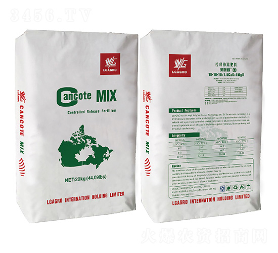 ��ጓ������-����ʩ-�����_