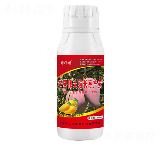 â��������L�߮a��-������-��������