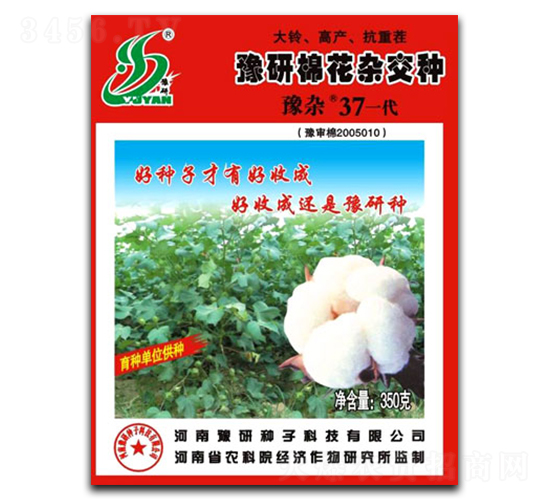 ԥ�s37-�޻��N��-��N�I(y��)