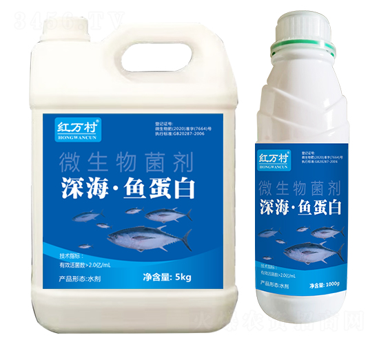 ����~����΢�������-�t�f��-�l�弾�L