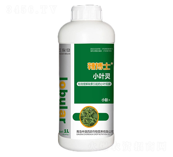 С�~�`-����ʿ-���R��-�а����r