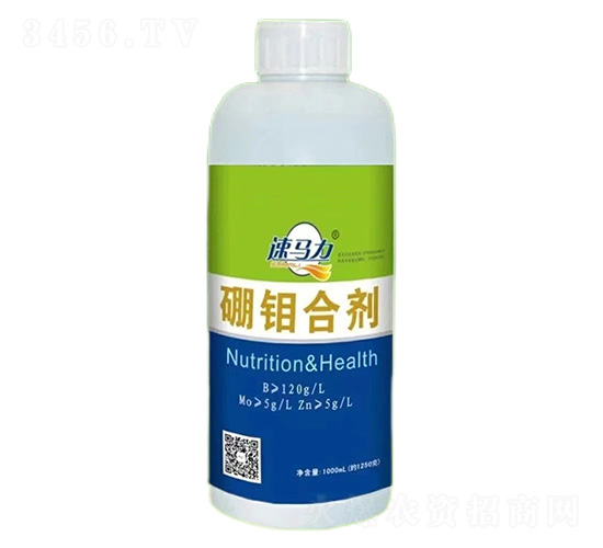 ���f�τ�-���R��-�а����r