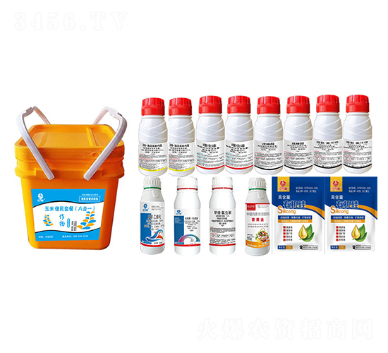 ���ױ����ײͣ��˺�һ��-�l�弾�L