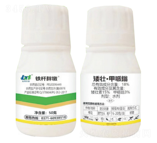 18%矮壯·甲哌翁-鐵桿胖墩-寶典實業