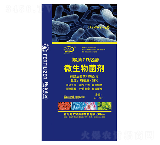 ΢�������-����10�|��-���-��֮��