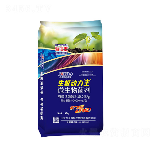 ΢�������-����������-�����S-�����_����