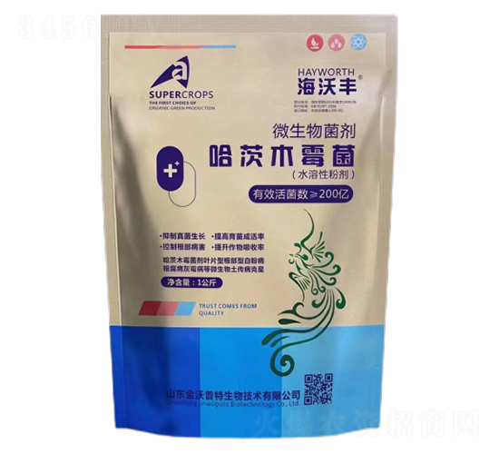 ����ľù��-�����S-�����_����