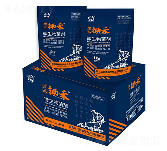 �z��΢�������-�����꺽