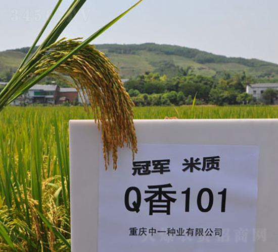 Q��101-ˮ���N��-���r�Ƽ�