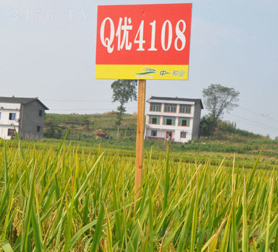 Q��4108-ˮ���N��-���r�Ƽ�