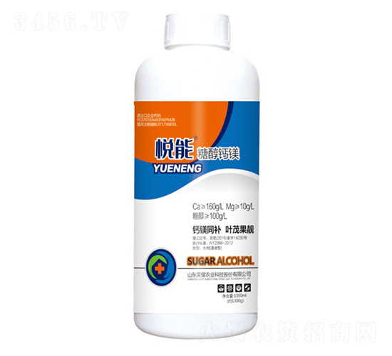 �Ǵ��}�V-����-�sҫ�r�I