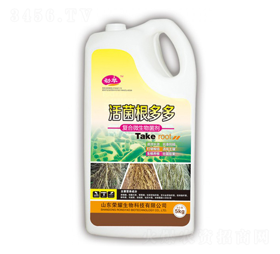 ��������-����-�sҫ�r�I