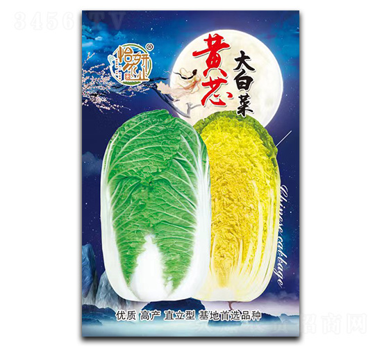 �Sо��ײ˷N��-�����r�I