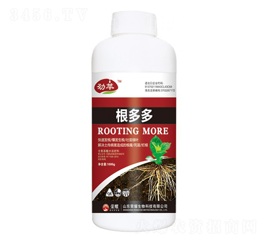 �����-����-�sҫ�r�I