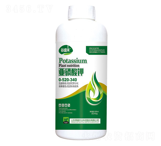 ������⛣�ƿ��-��ʢ��-�sҫ�r�I