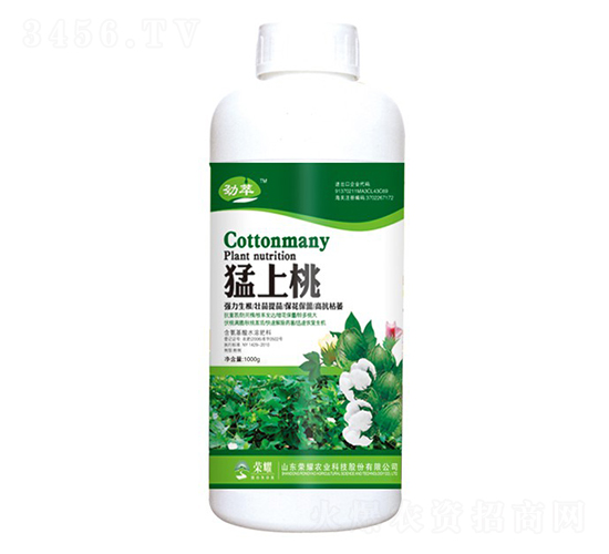 ������-����-�sҫ�r�I