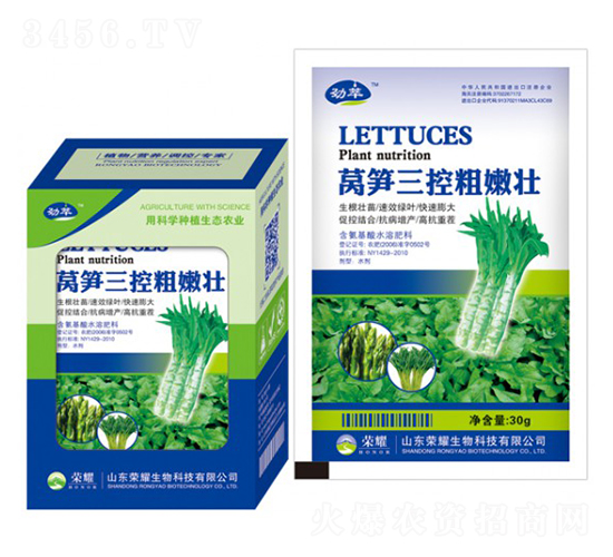 �n�S���ش��ۉ�-����-�sҫ�r�I