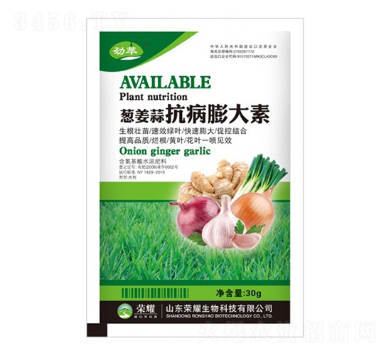 �[���⿹�������-����-�sҫ�r�I