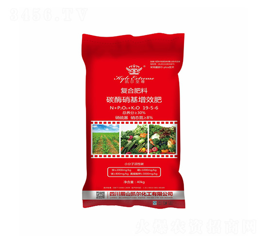 ̼ø������Ч�ͺϷ���19-5-6-�P���ѷʘI