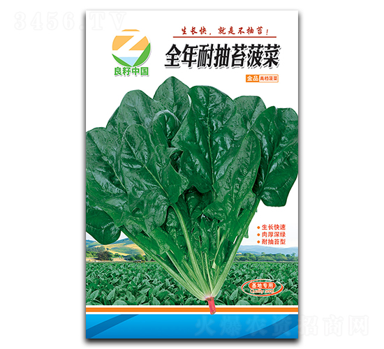 ȫ���ͳ�̦���˷N��-�����r�I