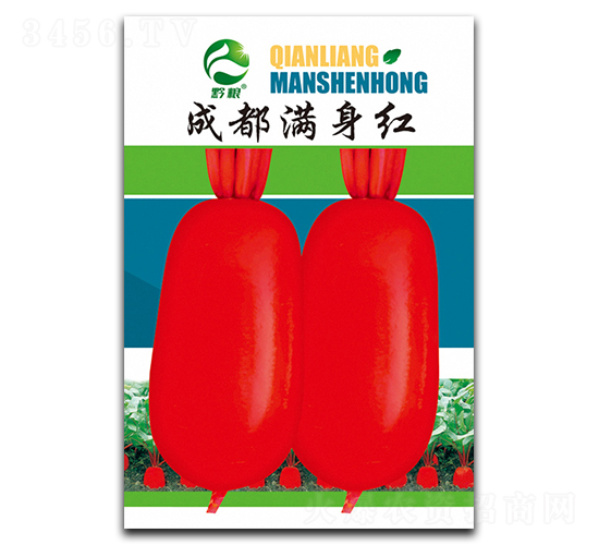 �ɶ��M(m��n)���t�}���N��-�����r(n��ng)�I(y��)