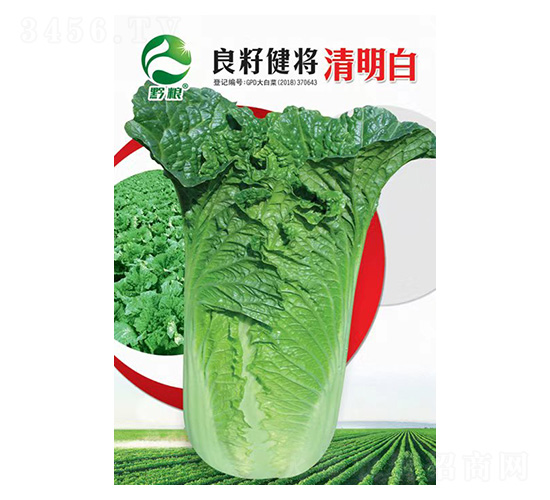 �ײ˷N��-���ѽ���������-�����r�I