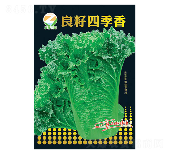 �ײ˷N��-�����ļ���-�����r�I