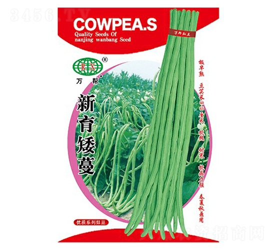 �������������N��-�f��N�I(y��)