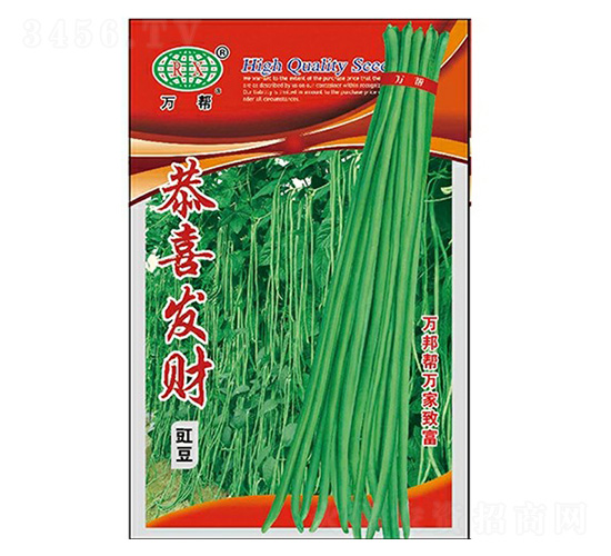 ��ϲ�lؔ�����N��-�f��N�I