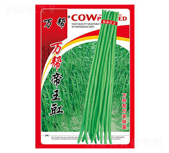 �f�͵�����-�����N��-�f��N�I