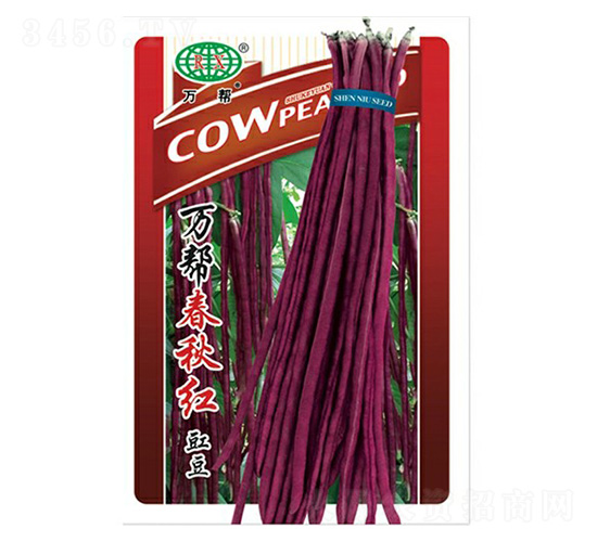 �f�ʹ���t�����N��-�f��N�I