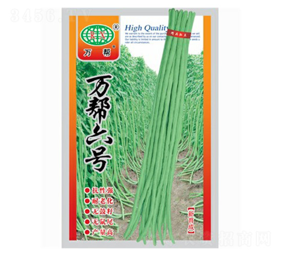 �f����̖-�����N��-�f��N�I