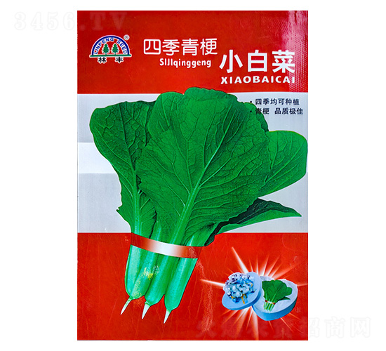 四季青梗小白菜-白菜種子-陵豐種苗