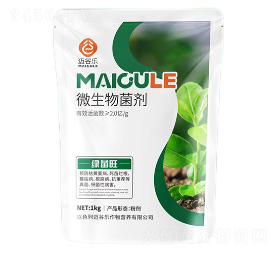 �G����΢�������-�~�Ș�(l��)