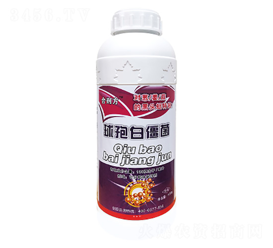 ���߰׽���-���طʘI