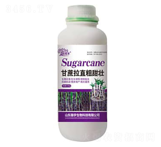 ������ֱ������-�������