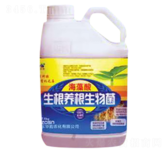 �����������B�������-���ͷ�