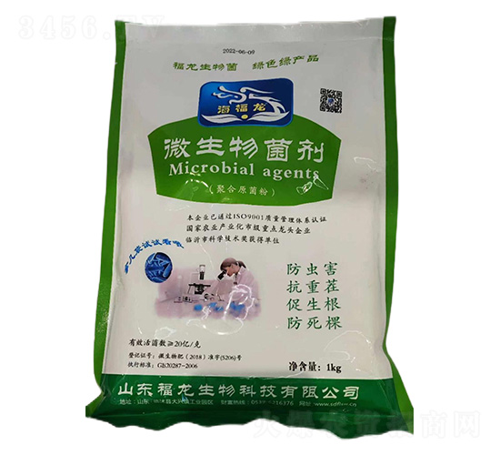 ΢�������(�ۺ�ԭ����)-��������