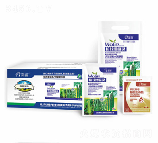 ���L�����`-嫰�����