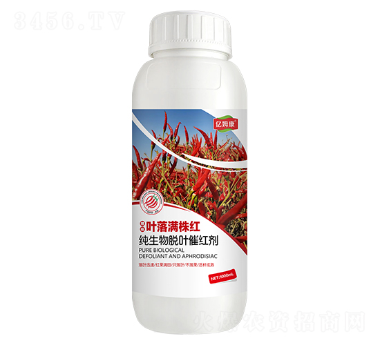 辣椒葉落滿株紅-億姆康