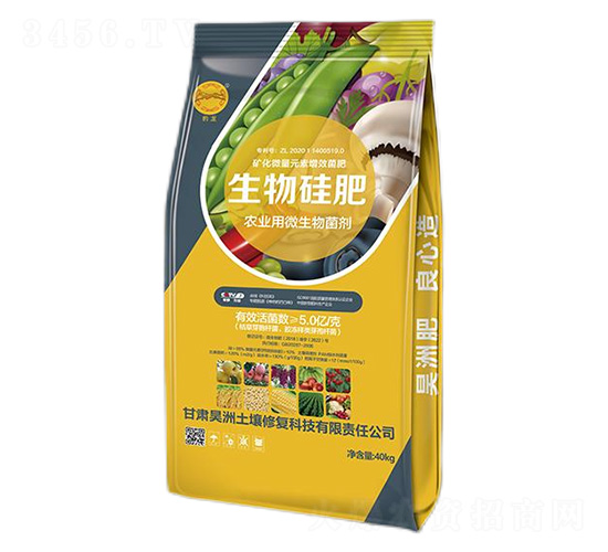 ������-��������ޏ�