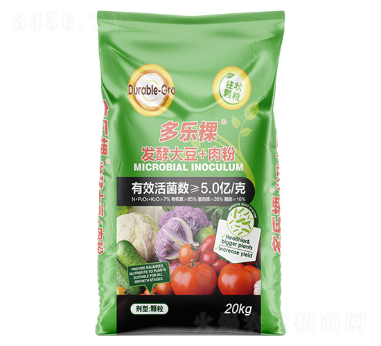 �l�ʹ�+���-������