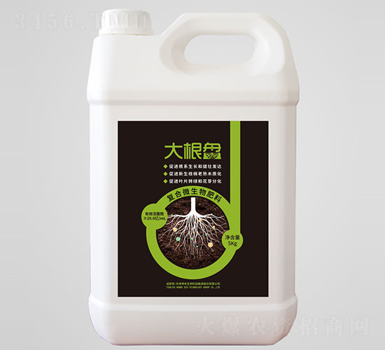 大根盤復合微生物肥料-坤禾生物