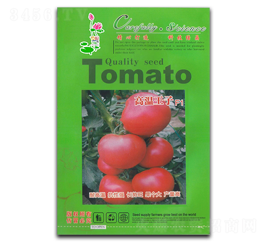 ���t���N��-�ߜ�����F1-���J�tϲ